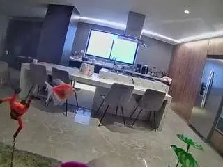 Voyeurcam-casa-salsa-fishtank  live sex cam