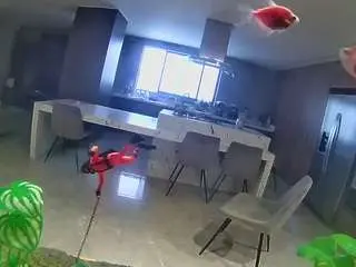 Voyeurcam-casa-salsa-fishtank  live sex cam