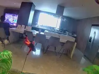 Voyeurcam-casa-salsa-fishtank  live sex cam