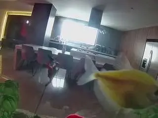 Voyeurcam-casa-salsa-fishtank  live sex cam