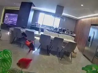 Voyeurcam-casa-salsa-fishtank  live sex cam