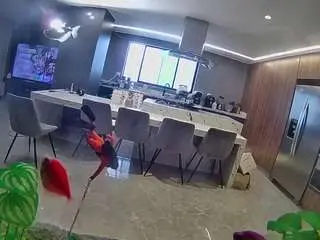 Voyeurcam-casa-salsa-fishtank  live sex cam