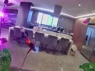 Voyeurcam-casa-salsa-fishtank  live sex cam