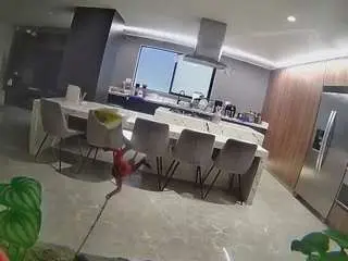 Voyeurcam-casa-salsa-fishtank  live sex cam