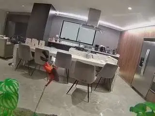 Voyeurcam-casa-salsa-fishtank  live sex cam