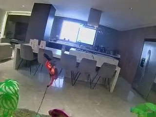 Voyeurcam-casa-salsa-fishtank  live sex cam