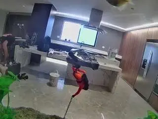 Voyeurcam-casa-salsa-fishtank  live sex cam