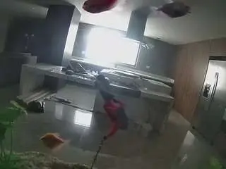 Voyeurcam-casa-salsa-fishtank  live sex cam