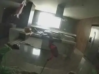 Voyeurcam-casa-salsa-fishtank  live sex cam