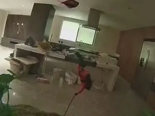 Voyeurcam-casa-salsa-fishtank  live sex cam