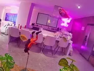 Voyeurcam-casa-salsa-fishtank  live sex cam