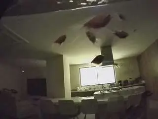 Voyeurcam-casa-salsa-fishtank  live sex cam