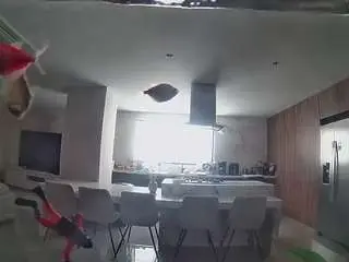 Voyeurcam-casa-salsa-fishtank  live sex cam