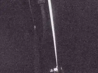 Voyeurcam-casa-salsa-fishtank  live sex cam