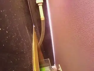 Voyeurcam-casa-salsa-fishtank  live sex cam