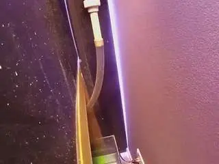 Voyeurcam-casa-salsa-fishtank  live sex cam