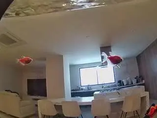 Voyeurcam-casa-salsa-fishtank  live sex cam