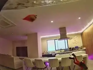 Voyeurcam-casa-salsa-fishtank  live sex cam