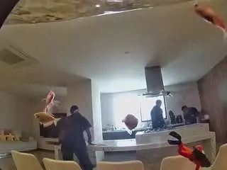 Voyeurcam-casa-salsa-fishtank  live sex cam