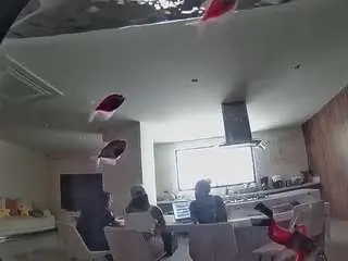 Voyeurcam-casa-salsa-fishtank  live sex cam