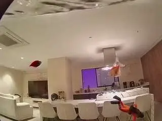 Voyeurcam-casa-salsa-fishtank  live sex cam