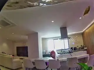 Voyeurcam-casa-salsa-fishtank  live sex cam