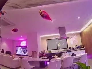 Voyeurcam-casa-salsa-fishtank  live sex cam