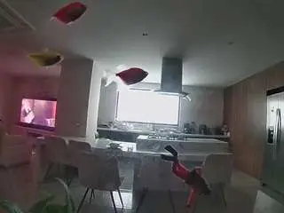 Voyeurcam-casa-salsa-fishtank  live sex cam