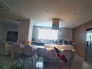 Voyeurcam-casa-salsa-fishtank  live sex cam