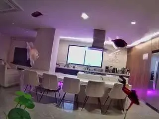 Voyeurcam-casa-salsa-fishtank  live sex cam