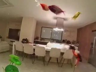 Voyeurcam-casa-salsa-fishtank  live sex cam