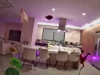 Voyeurcam-casa-salsa-fishtank  live sex cam