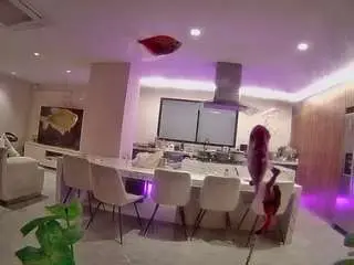 Voyeurcam-casa-salsa-fishtank  live sex cam