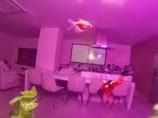 Voyeurcam-casa-salsa-fishtank  live sex cam