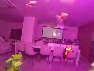 Voyeurcam-casa-salsa-fishtank  live sex cam