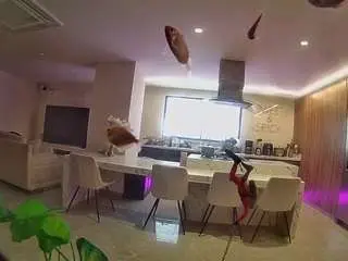 Voyeurcam-casa-salsa-fishtank  live sex cam