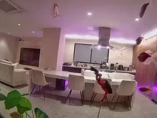 Voyeurcam-casa-salsa-fishtank  live sex cam