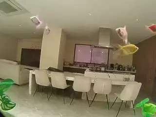 Voyeurcam-casa-salsa-fishtank  live sex cam