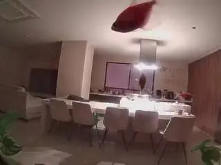 Voyeurcam-casa-salsa-fishtank  live sex cam