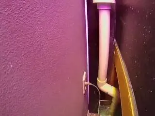 Voyeurcam-casa-salsa-fishtank  live sex cam