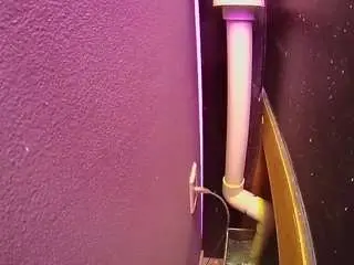 Voyeurcam-casa-salsa-fishtank  live sex cam