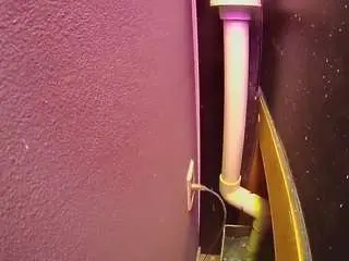Voyeurcam-casa-salsa-fishtank  live sex cam