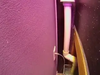 Voyeurcam-casa-salsa-fishtank  live sex cam