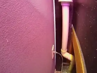 Voyeurcam-casa-salsa-fishtank  live sex cam