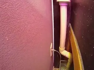 Voyeurcam-casa-salsa-fishtank  live sex cam