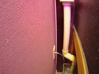 Voyeurcam-casa-salsa-fishtank  live sex cam
