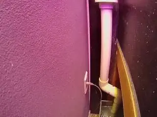 Voyeurcam-casa-salsa-fishtank  live sex cam