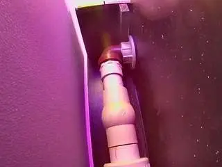 Voyeurcam-casa-salsa-fishtank  live sex cam