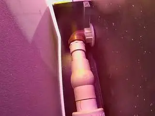Voyeurcam-casa-salsa-fishtank  live sex cam