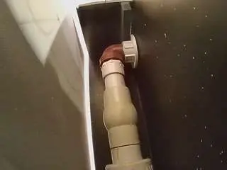 Voyeurcam-casa-salsa-fishtank  live sex cam